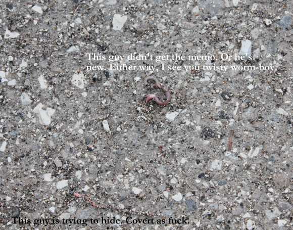 covertworm