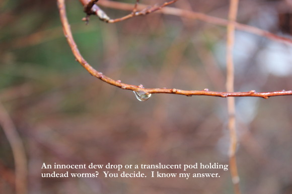 worm3