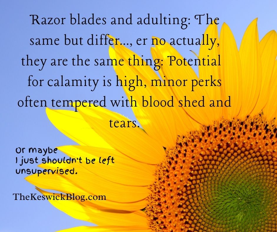 A beautiful close up of a sunflower and the words " Razor blades and adulting: The same but differ...er no, actually, they are the same thing: Potential for calamity is high, minor perks often tempered with blood shed and tears. Or maybe I just shouldn't be left unsupervised. The Keswick Blog